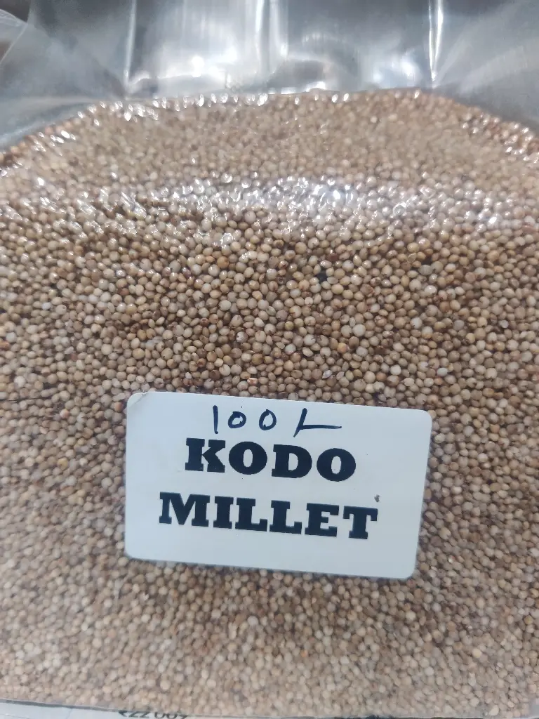 Kodo Millets 500g (कोद्रा  )
