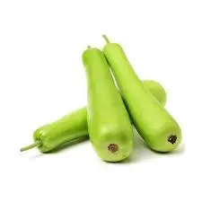 Bottle Gourd Dudhi - 55Rs/piece