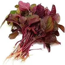 Lal Math ( Red Leafy Amaranth) 1Bunch/45Rs 