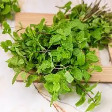 Mint (Pudina) 1 Bunch/35Rs 