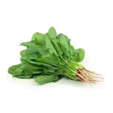 Palak (Spinach) (1Bunch)-45Rs/Bunch) 