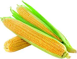 Full Corn 25Rs/Pieces 
