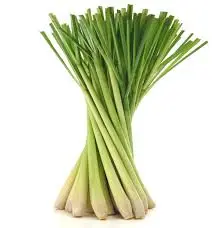 Lemons Grass 15Rs/Bunch 
