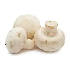 Mushroom Button (1 PKT) (80Rs/PKT) 