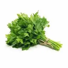 Parsley 50Rs/Bunch 