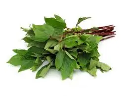 Aambadi 45Rs/Bunch 