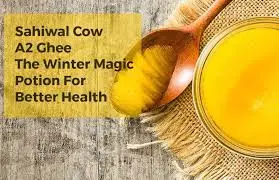  Sahiwal Cow Deshi Ghee 1 Liter 