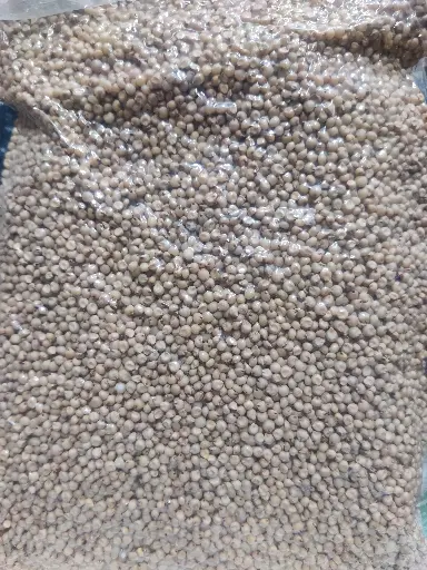 Jowar Grain (देशी बीज ) 1Kg
